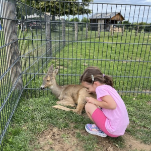 (c) Mamilade freizeitpark lutzmannsburg rehkitz mamilade ausflugstipps