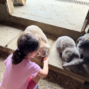 (c) Mamilade freizeitpark lutzmannsburg hasen streicheln mamilade ausflugstipps