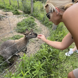 (c) Mamilade freizeitpark lutzmannsburg kaenguru fuettern mamilade ausflugstipps