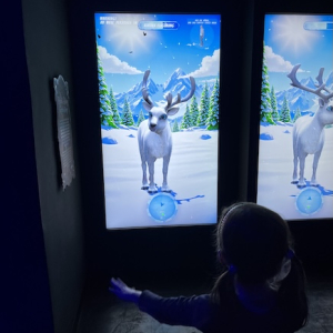 (c) Mamilade rentiertraining immersium wien magisches Weihnachten