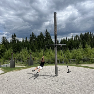 (c) Mamilade wexl arena ameisenpfad