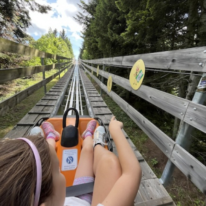 (c) Mamilade wexl arena sommerrodelbahn
