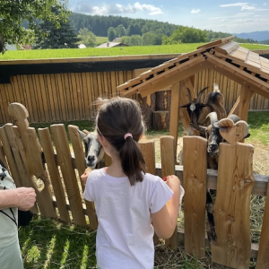 bauernhof dissauer ziegen mamilade ausflugstipps