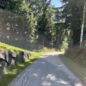 bauernhof dissauer waldspielplatz mamilade ausflugstipps
