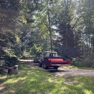 bauernhof dissauer waldspielplatz mamilade ausflugstipps