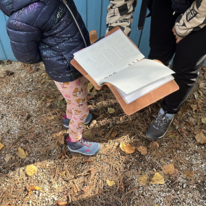 (c) Mamilade adventure trail kinderkiosk ratselbuch mamilade ausflugstipps