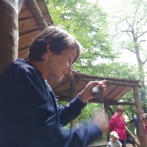 (c) Sandra Keltenzug Attersee