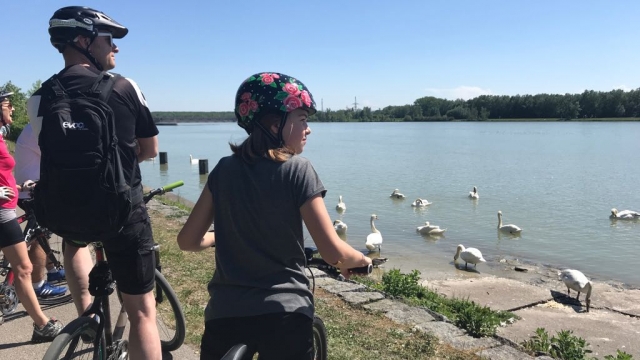 (c) Mamilade / Daniela radwanderung familien donauradweg r 1 ausflugstipp mamilade