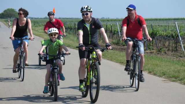 radweg seewinkel burgenland ausflugstipp mamilade
