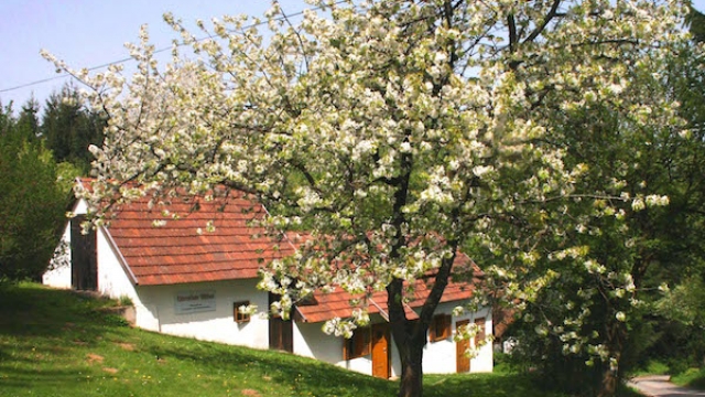 (c) Uhrenstube Aschau uhrenstube aschau ausflugstipp mamilade, uhrenmuseum burgenland