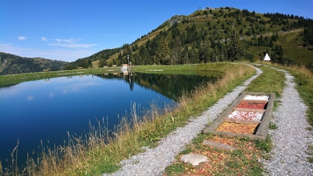 Barfußweg am Spiegelsee