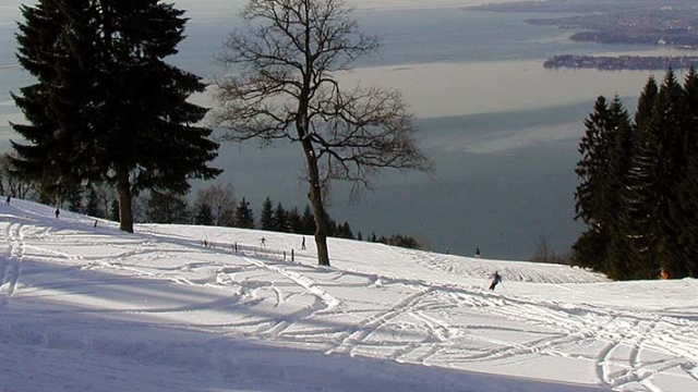 Winterliches Sportvergnügen am Pfänder in Bregenz