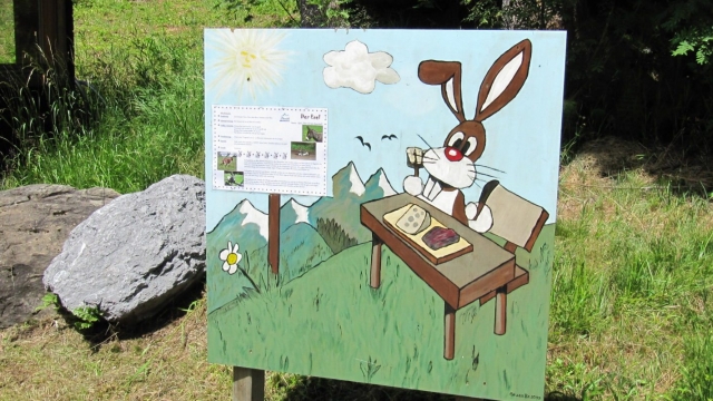 wanderung damuels bregenzerwald ausflugstipp mamilade