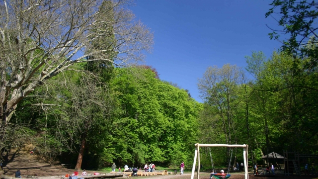 © Copyright MA 49 – Forstbetrieb der Stadt Wien dehnepark wien ausflugstipp mamilade