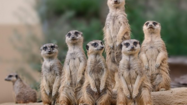 zoo tierpark schmiding wels ausflugstipp mamilade