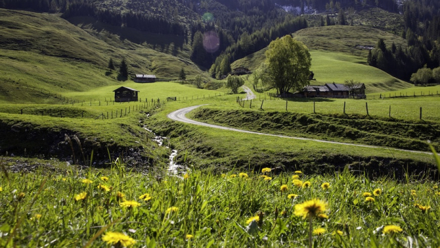 blumenlehrpfad wastlalm in rauris ausflugstipp mamilade (c) Florian Bachmayr, Tourismusverband Rauris