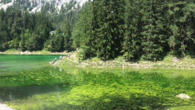 ausflug gruener see hochschwab