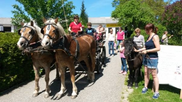 (c) Anita Finster Pferdehof
