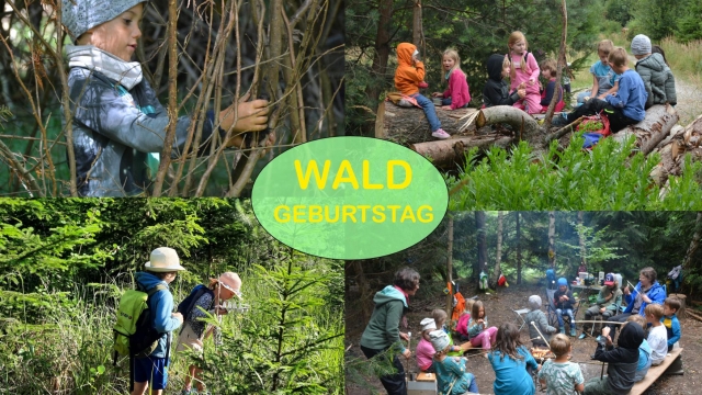 kindergeburtstag feiern im abenteuerwald verein waldquell weyersdorf sankt poelten ausflugstipp mamilade