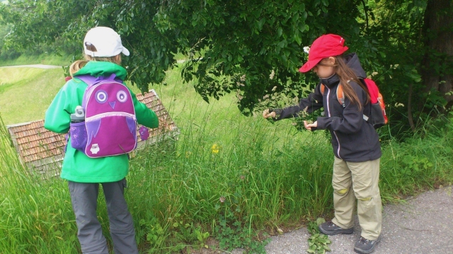 lehrwanderweg braz ausflugstipp mamilade