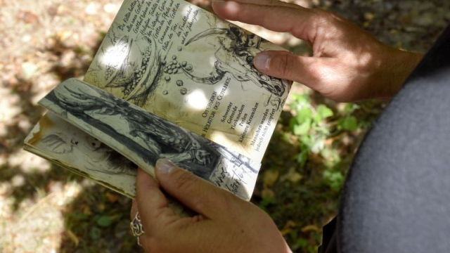 mamuz schloss asparn escape trail mit professor archibald logos ausflugstipp mamilade