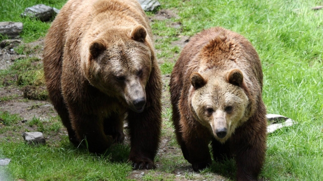 © 2020 Abenteuerwelt Mautern tierpark wilde berg mautern ausflugstipp mamilade