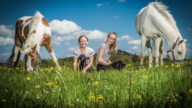 (c) Verena Eichhorn ponyhof daneder gutau ausflugstipp mamilade