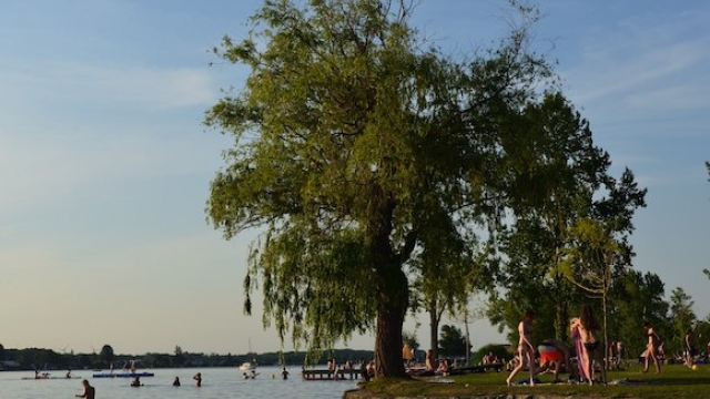 strandbad neufelder see ausflugstipp mamilade, badesee burgenland