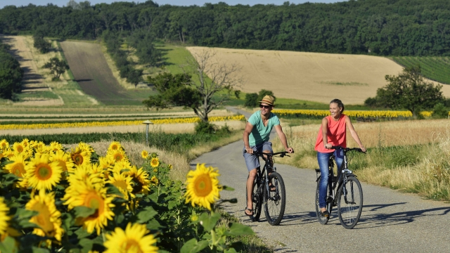 (c) Steve Haider kirschblueten radwanderweg b12 welterbe naturpark neusiedler see ausflugstipp mamilade