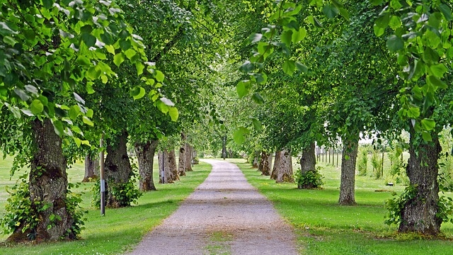 (c) pixabay poetzleinsdorfer schlosspark wien ausflugstipp mamilade