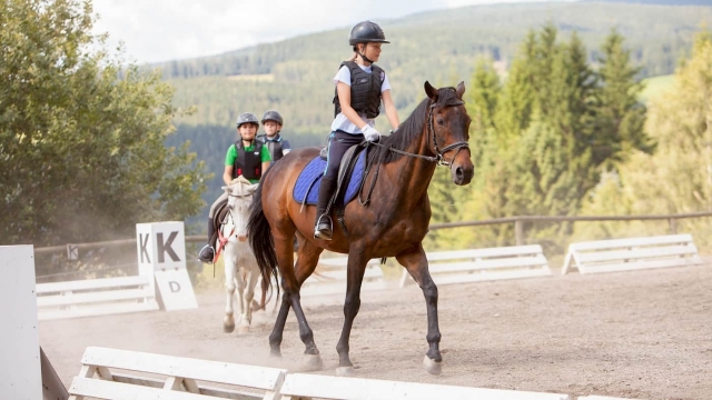 (c) Familienhotel & Reiterparadies Ponyhof Familienhotel & Reiterparadies Ponyhof