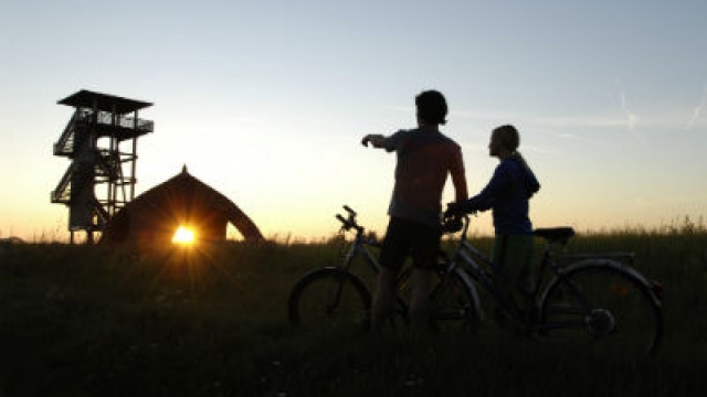 (c) steve haider festival radweg neusiedler see ausflugstipp mamilade