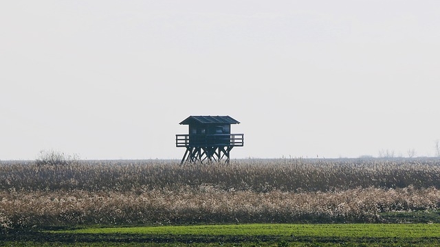 (c) pixabay nationalpark neusiedlersee seewinkel ausflugstipp mamilade