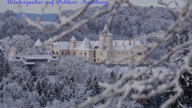 schloss kornberg weihnachten ausflugstipp mamilade