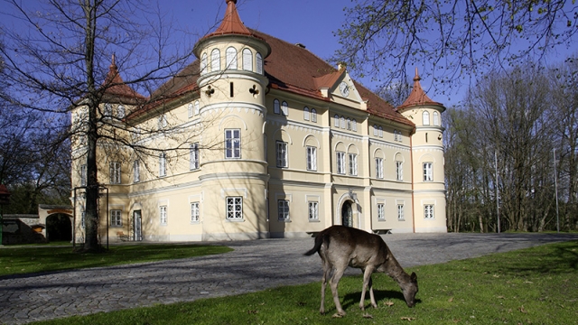 tierpark schloss mageregg ausflugstipp mamilade
