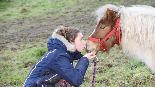 (c) Pixabay kindergeburtstag feiern mit kutschenfahrten und ponyreiten Alberndorf ausflugstipp mamilade