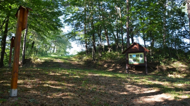 vogellehrpfad schwarzenbach wiener neustadt ausflugstipp mamilade