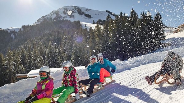 (c) Skiwelt Wilder Kaiser rodelbahn hohe salve soelln ausflugstipp mamilade