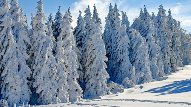 winterwandern am Muttersberg bei Bludenz ausflugstipp mamilade